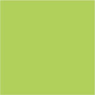 WX 9703 - LIME GREEN