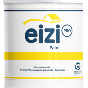 EIZI Pro